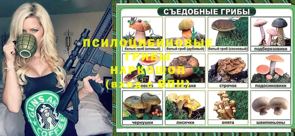 молекула духа Осинники