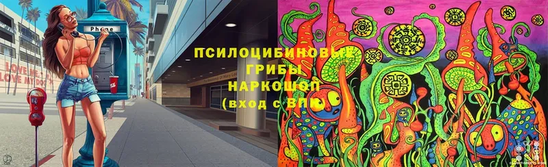 Псилоцибиновые грибы ЛСД  МЕГА маркетплейс  Балей 
